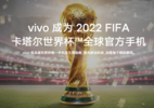 vivo出海：打世界杯的算盘，掏全球人民的口袋