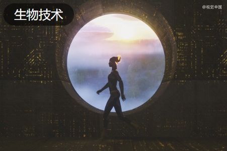 脑机接口，老股被抢疯了