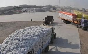 棉花价格涨到8年最高，这个冬天会不会被冻哭？