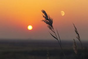 曾航：高考制度与中国工程师红利