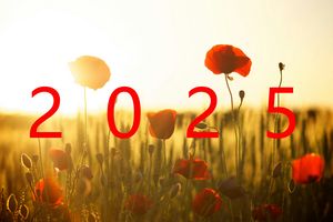 2025科技前沿扫描