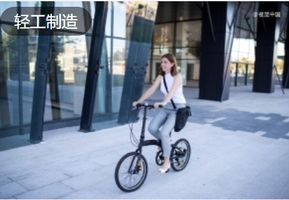 自行车骑出一个IPO：大行科工要上市了