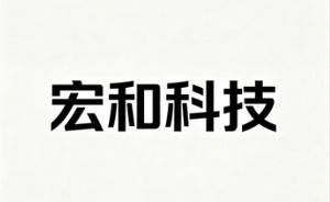 上海牛股宏和科技，一年暴涨20倍